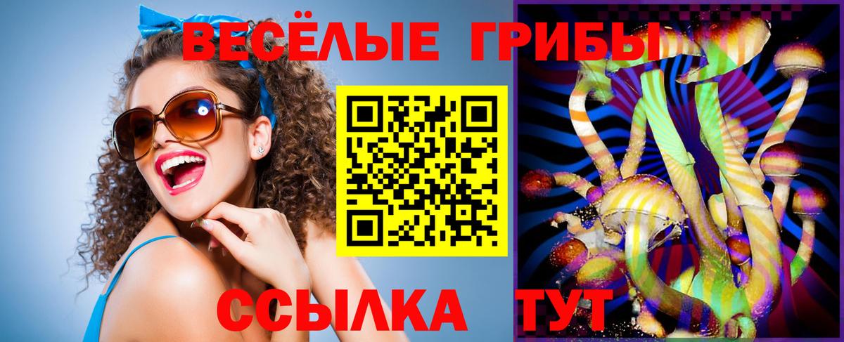 Псилоцибиновые грибы мухоморы  Вход с VPN  Орск 