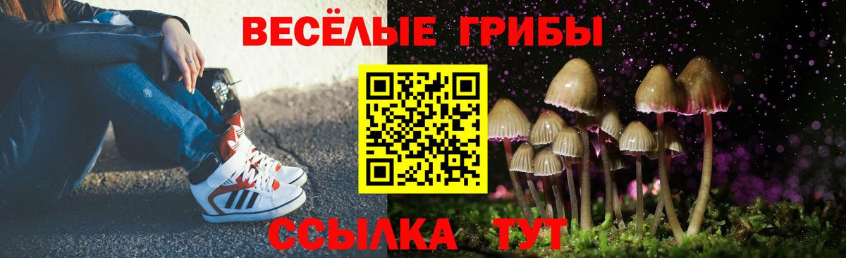 Псилоцибиновые грибы Psilocybe Орск